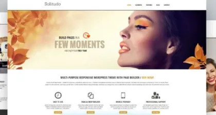AIT – Solitudo WordPress Theme 3.0.8 GPL Theme