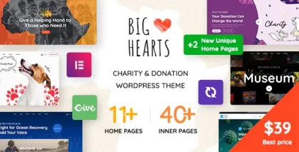 BigHearts Charity Donation WordPress Theme 3.0.9 GPL Theme