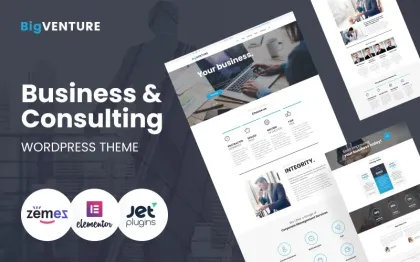 BigVenture Business Consulting WordPress Elementor Theme WordPress Theme 1.0.1 GPL Theme