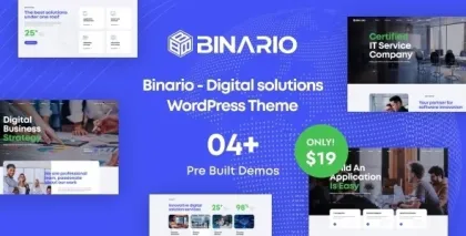 Binario Digital Solutions WordPress Theme 1.2.0 GPL Theme