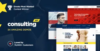 Consulting 6.5.24 GPL Theme
