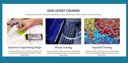 CyberChimps Edu Pro WordPress Theme 1.7 GPL Theme
