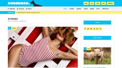 Doberman  CSSIgniter 1.4.2 GPL Theme