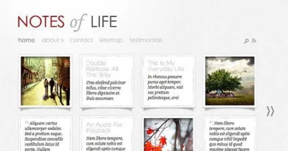 Elegant Themes DailyNotes WordPress Theme 5.8.13 GPL Theme