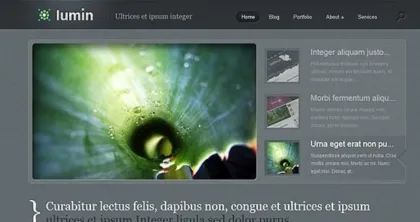 Elegant Themes Lumin 4.8.13 GPL Theme