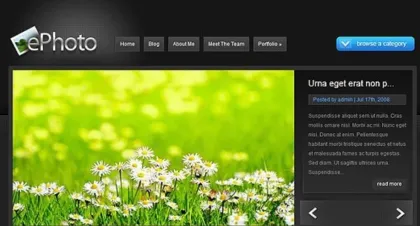 Elegant Themes ePhoto WordPress Theme 7.0.12 GPL Theme