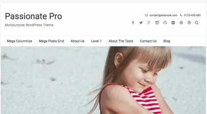 FameThemes Passionate Pro WordPress Theme 1.3.2 GPL Theme