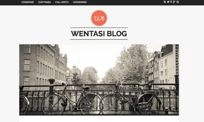 FameThemes Wentasi WordPress Theme 2.0.1 GPL Theme