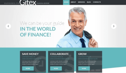 Gitex WordPress Theme {version} GPL Theme