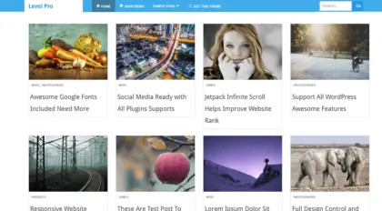 Level Pro Theme provided by InsertCart 2.8 GPL Theme