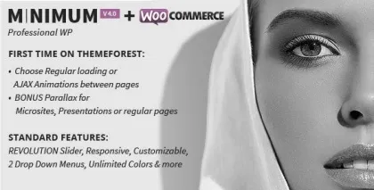 MINIMUM Professional WordPress Theme 4.1 GPL Theme