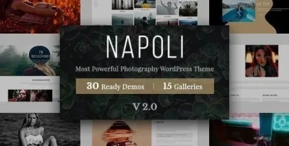 Napoli Photography WordPress 2.4.1 GPL Theme