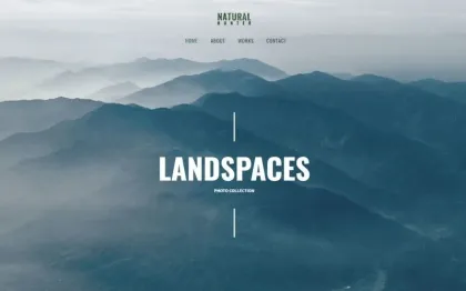 Natural Hunter Creative Photographer WordPress theme WordPress Theme 1.0 GPL Theme