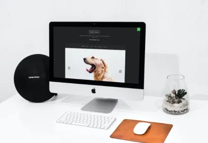 Nord Minimal and Clean WordPress Blog Theme 1.4.3 GPL Theme