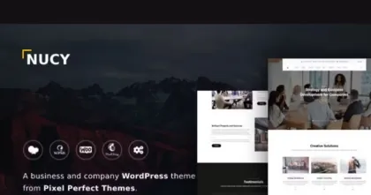 Nucy – Business Company WordPress Theme 1.2.5 GPL Theme