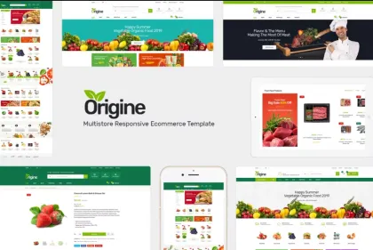 Origine Organic Theme for WooCommerce WordPress 1.0.9 GPL Theme