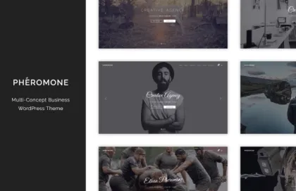 Pheromone Creative Multi-Concept WordPress Theme 1.3.2 GPL Theme