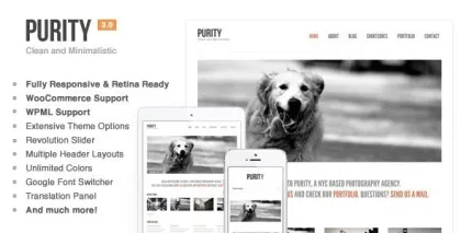 Purity: Responsive, Minimal Bold WP Theme 4.5.1 GPL Theme