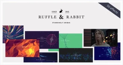 Rabbit Exclusive Coming Soon WordPress Theme 4.0.3 GPL Theme
