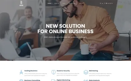 Roche Business Consulting WordPress Theme 1.1.1 GPL Theme