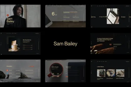 Sam Bailey Personal CV/Resume WordPress Theme 1.0.0 GPL Theme