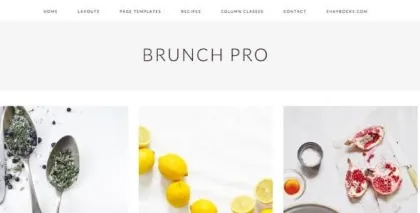 StudioPress Brunch Pro Theme 4.2.0 GPL Theme