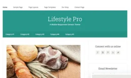StudioPress Lifestyle Pro Theme 2.0 GPL Theme