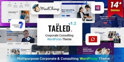 TAELED Business Consulting 1.2 GPL Theme