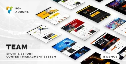Team Soccer, Football, Hockey, Basketball Club eSport Gaming WordPress Theme 5.0.17 GPL Theme