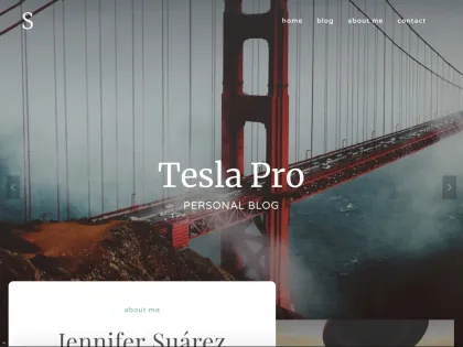Tesla Pro 1.0.3 GPL Theme