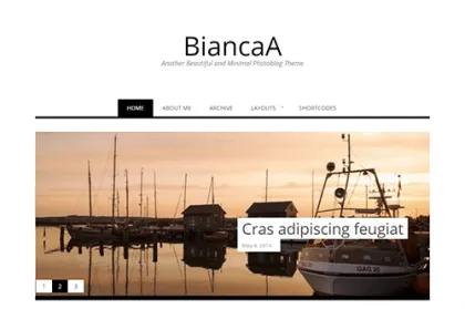 Theme Junkie – BiancaA 1.0.6 GPL Theme