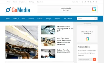 Theme Junkie – GoMedia 1.0.7 GPL Theme
