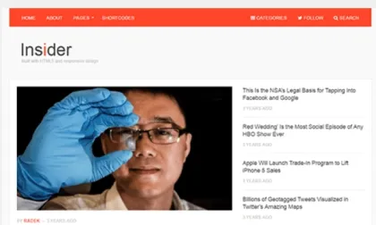 Theme Junkie – Insider 1.0.3 GPL Theme