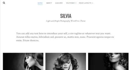 Theme Junkie – Silvia 1.0.9 GPL Theme