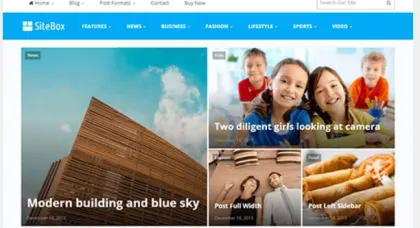 Theme Junkie – SiteBox 1.3.0 GPL Theme