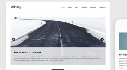 Themes Kingdom Widely WordPress Theme 2.3.1 GPL Theme