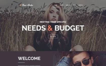 Tomi Solas WordPress Theme 1.0.0 GPL Theme