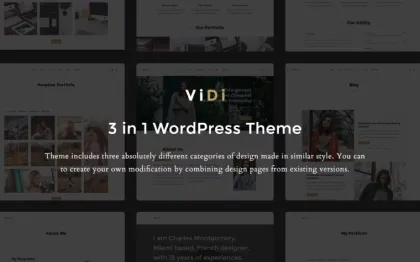 ViDi 3 in 1 Creative WordPress Theme 1.1.2 GPL Theme