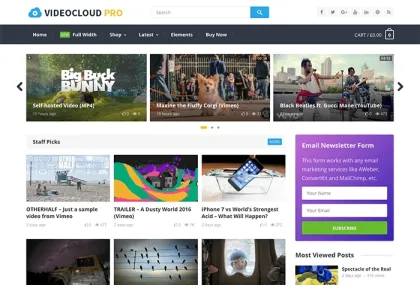VideoCloud Pro 1.1 GPL Theme
