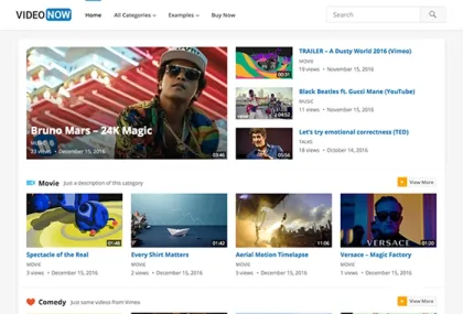 VideoNow Pro 1.9 GPL Theme
