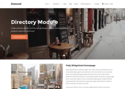 WPZOOM – Diamond 1.1.15 GPL Theme