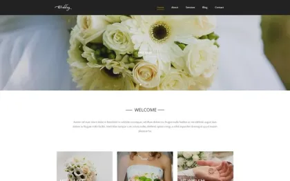 Wedding Wedding Salon Multipurpose Modern WordPress Elementor Theme WordPress Theme 1.0.0 GPL Theme