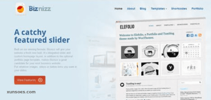 WooThemes Biznizz Premium Theme 1.6.9 GPL Theme