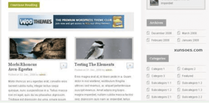 WooThemes Busybee Premium Theme 2.9.4 GPL Theme