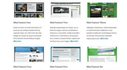 WooThemes Feature Pitch Premium Theme 1.5.0 GPL Theme