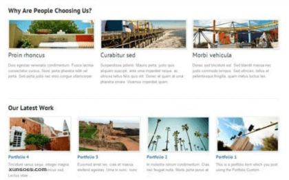 WooThemes Simplicity Premium Theme 1.13.4 GPL Theme