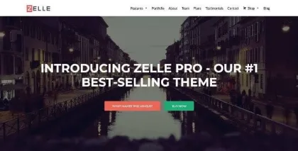 Zelle Pro (Zerif Pro) 2.1.6 GPL Theme