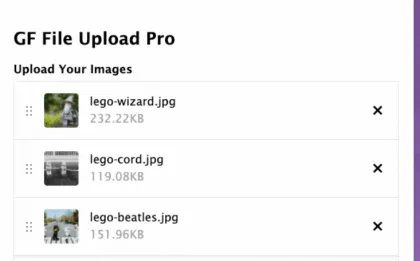 Gravity Forms File Upload Pro 1.4.1 GPL Plugins
